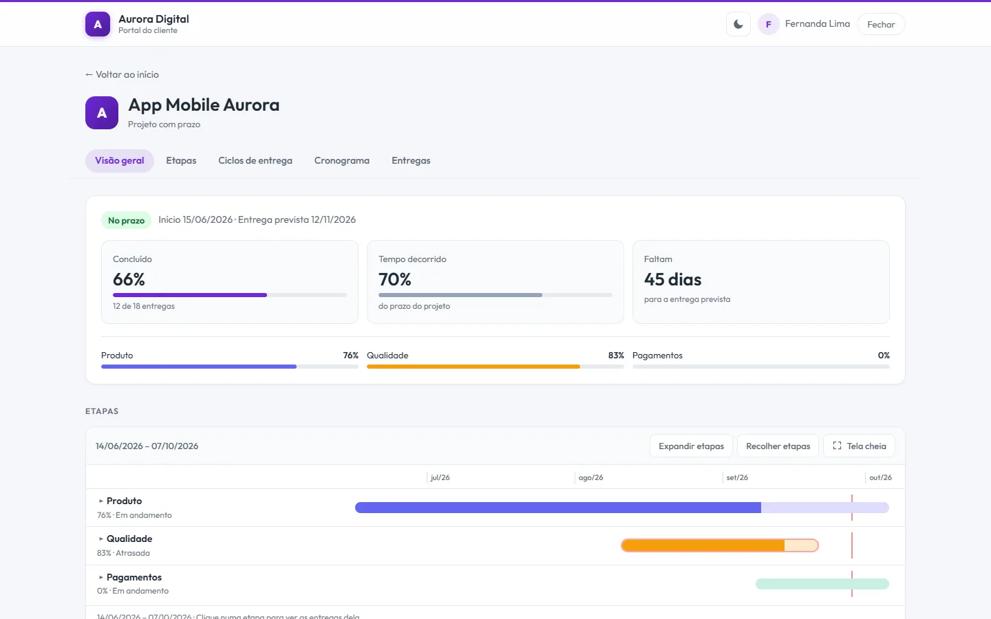 Portal do cliente da Tasskee com o projeto no prazo, 66% concluído, o tempo decorrido, os dias que faltam e o progresso de cada etapa